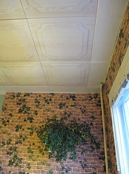 Из чего сделать потолок на балконе своими руками: варианты отделки2