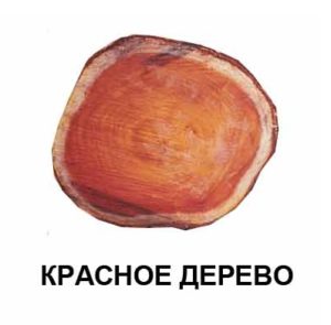 Остекление балкона деревянными рамами: виды, характеристики, советы7