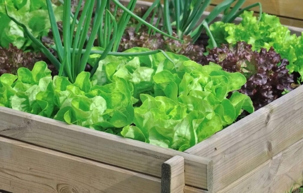 Теплицы для балкона — виды, назначение, отличия, процесс изготовления7