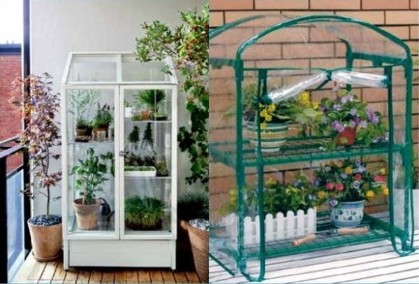 Теплицы для балкона — виды, назначение, отличия, процесс изготовления1