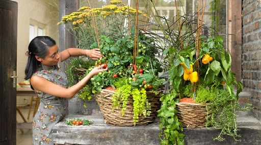 Теплицы для балкона — виды, назначение, отличия, процесс изготовления6