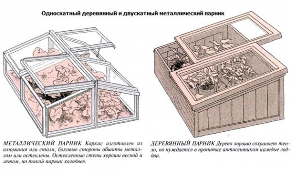 Теплицы для балкона — виды, назначение, отличия, процесс изготовления4